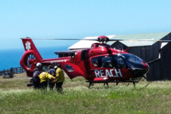 REACH patient load in Stewarts Point