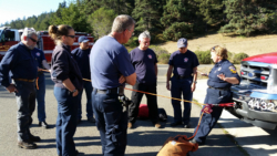 Rope Rescue Training