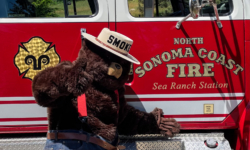 Smokey at 2024 picnic