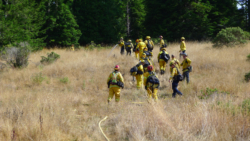 Multi-Agency wildland training